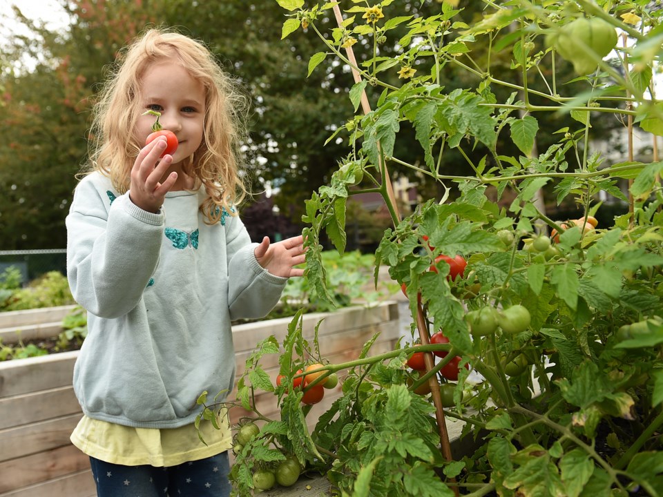 At Lord Roberts elementary, students like Robin Neill spend time in the school’s vegetable garden, p