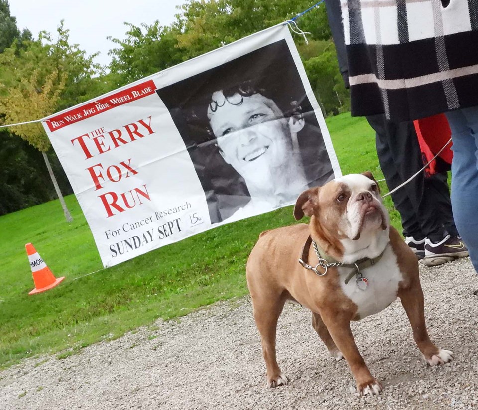 Photos: 2019 Terry Fox Run in Richmond_3