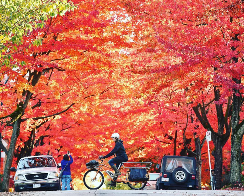 Summer may have ended early this year across parts of Canada, but B.C., Alberta and southern parts o