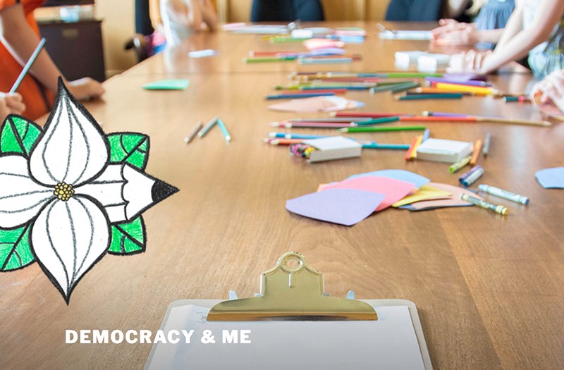 Art and democracy contest