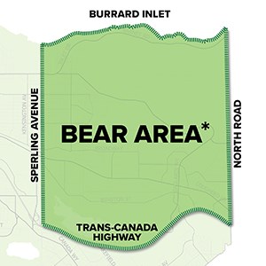 bear area burnaby