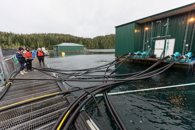 Aquaculture