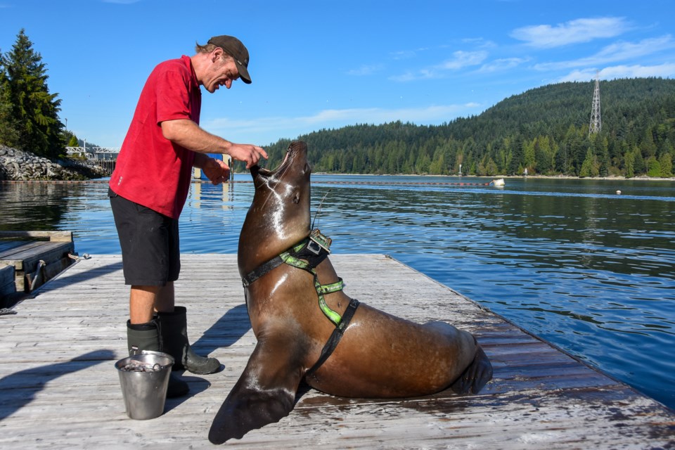 Waller checks Sitka's gums and teeth every morning as part of her health check-up.