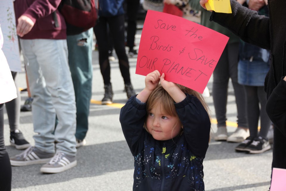 climate strike