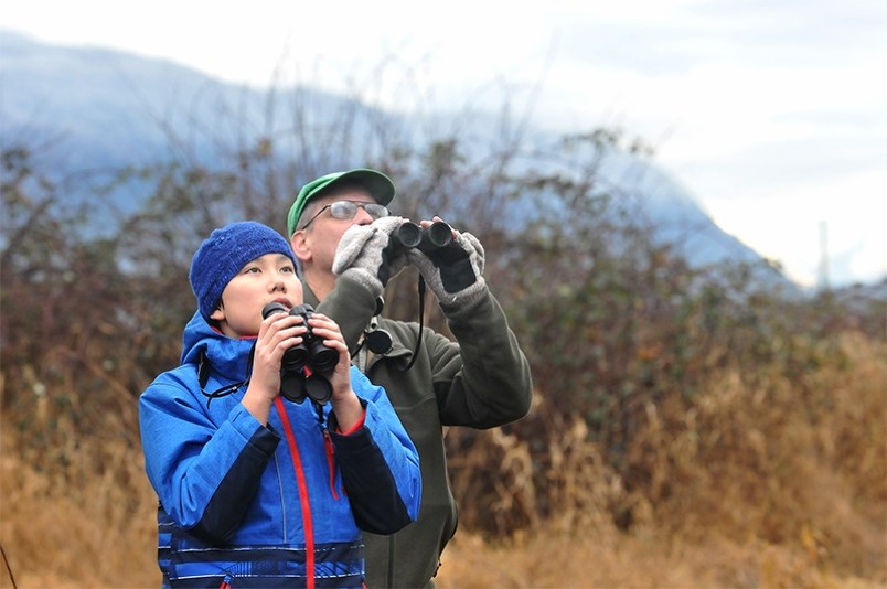 Justin Fujimoto and Colin Clasen birdwatch at Colony Farm Regional Park. The Colony Farm Sheep Paddocks Trail will provide better access to the park for hikers, cyclists and wildlife enthusiasts looking to catch a glimpse of the dozens of bird species that call the wetlands home.