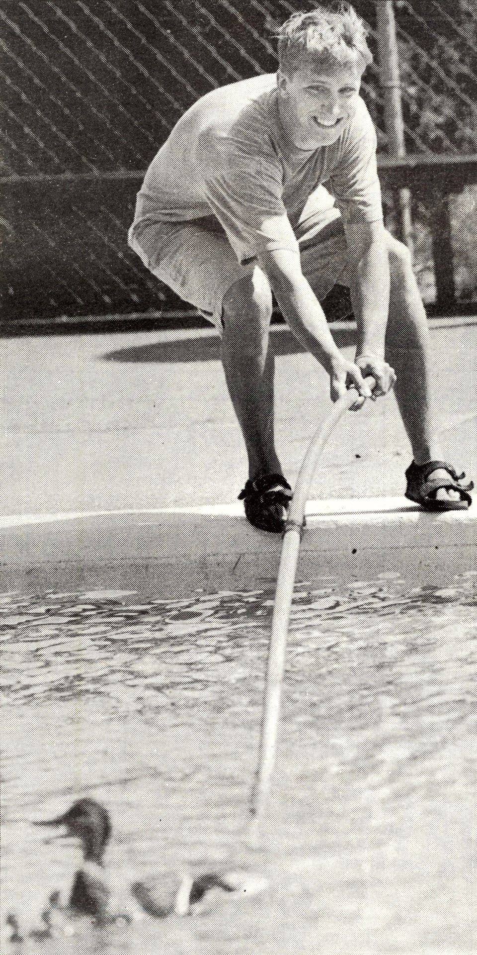 ducks, swimming pool