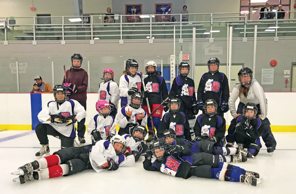 girls hockey