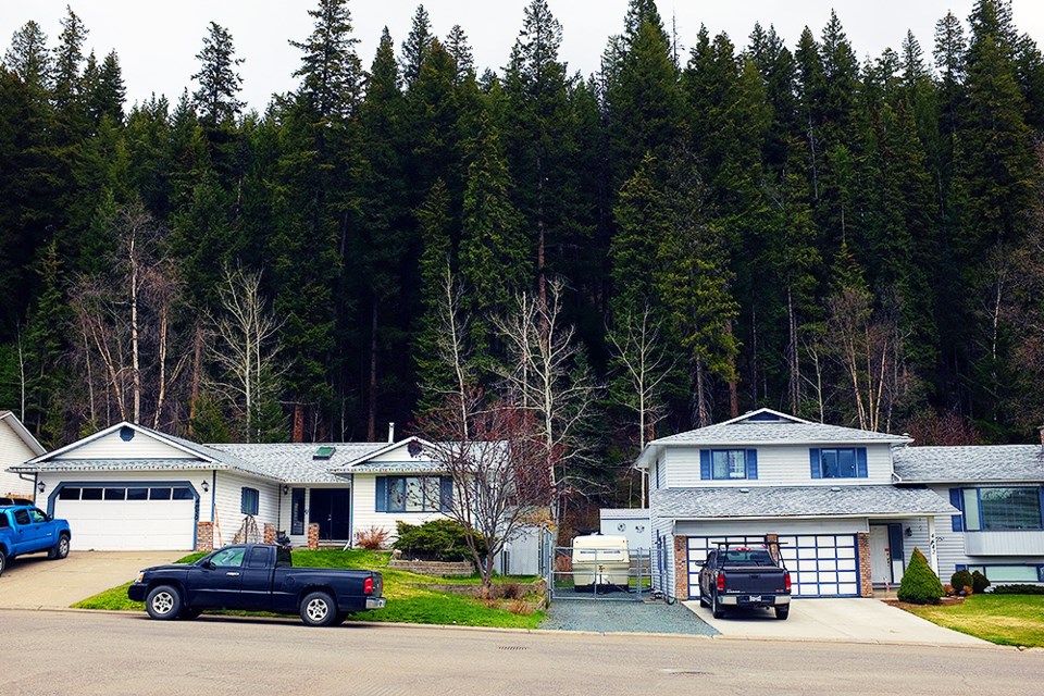 wildfire-mitigation.04_1032.jpg