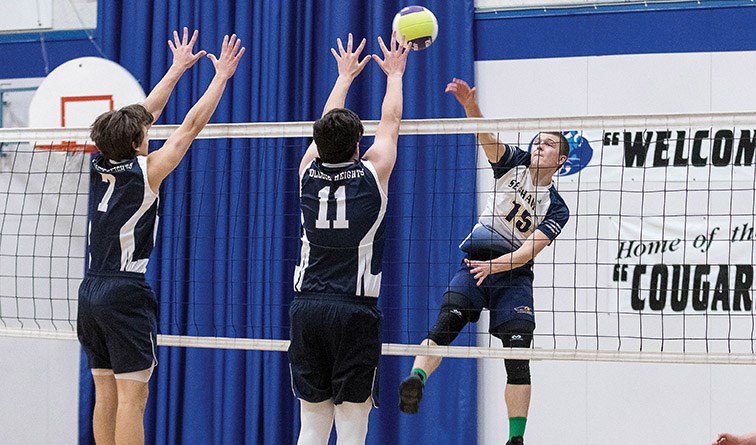 Centennial Christian School Seahawks player Jacob Ringma spikes the ball against College Heights Cougars blockers Theo Halka (11) and Isaiah Ohori (7) on Saturday evening at the College Heights Secondary gymnasium. The two teams met in the championship game of the Jon Bragg Memorial Senior Boys Volleyball Tournament. Citizen Photo by James Doyle