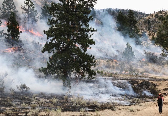 The Eagle Bluff wildfire near Oliver grew to 2,632 hectares in August.