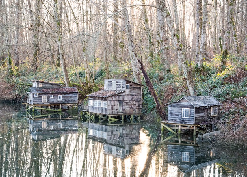 Maplewood shacks