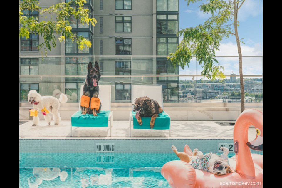 Proceeds from the 2020 Vancouver Police Department dog calendar will benefit B.C. Cancer Foundation and the B.C. Children’s Hospital Foundation. Photo courtesy Vancouver Police Department