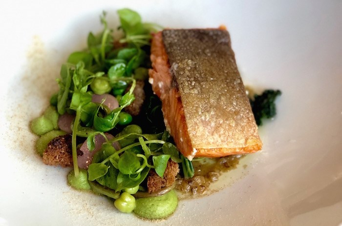 Coho salmon at West. Photo Lindsay William-Ross/Vancouver Is Awesome