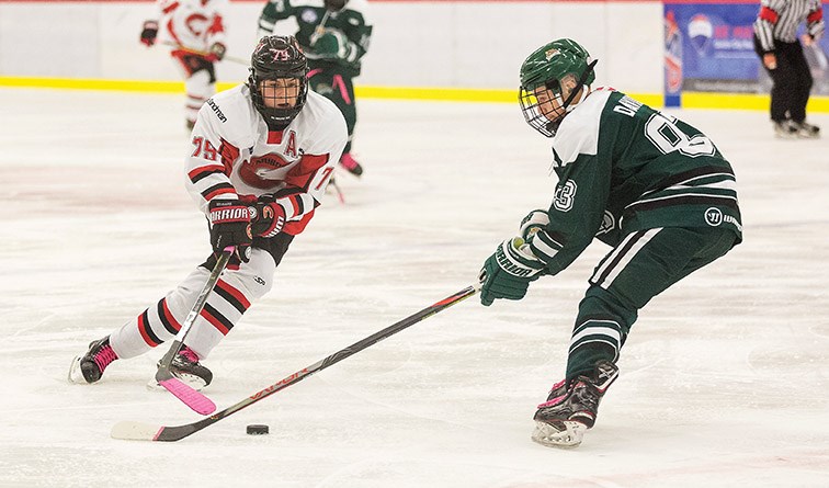 Minor Midget Cougars sweep weekend series with Silvertips_3