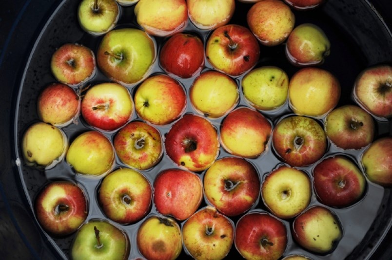 UBC Botanical Garden celebrates all things apple at its 28th annual UBC Apple Festival Oct. 19 and 2