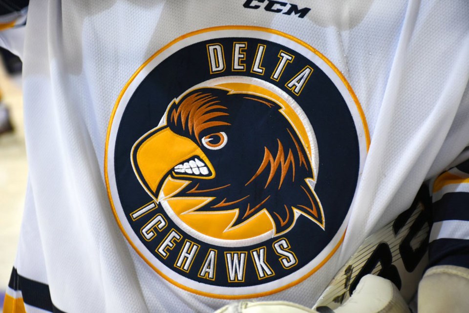 Ice Hawks logo