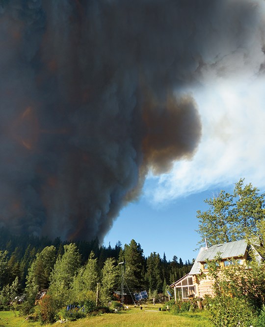 Living through wildfire when you live in the wild_3