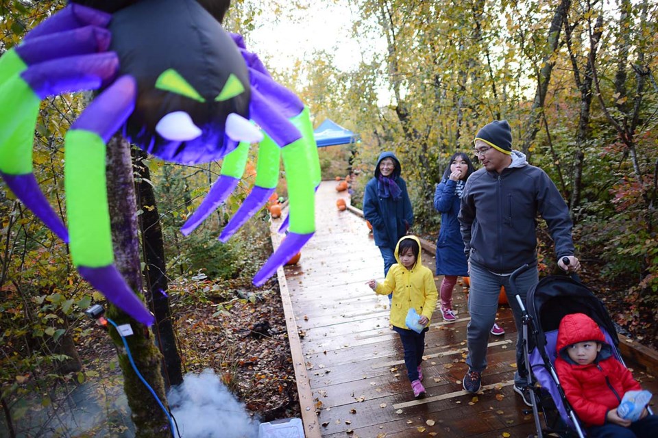 Wild Things at the Richmond Nature Park had kids of all ages entertained on the weekend. Photos by Boaz Joseph/Special to the News