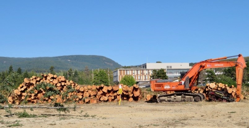 Land clearing