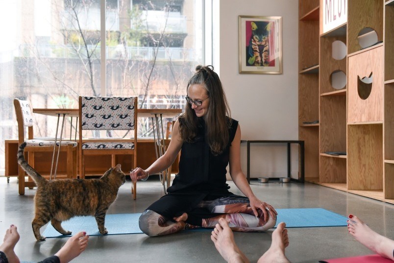 Vancouver’s Cattfe hosts a yoga series where you can stretch out surrounded by cats. Deal with it. P