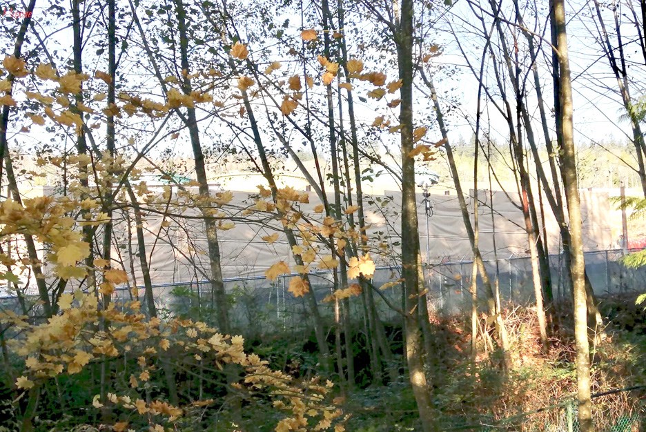 trans mountain burnaby barrier