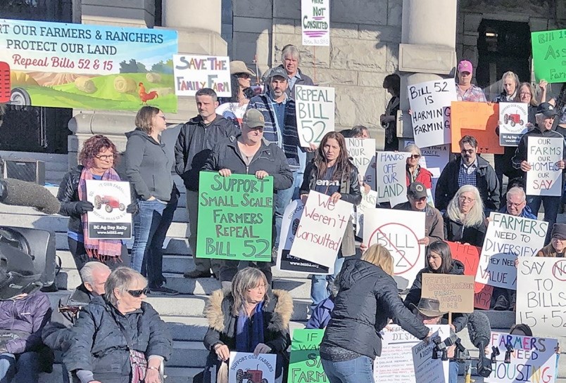 Protest
