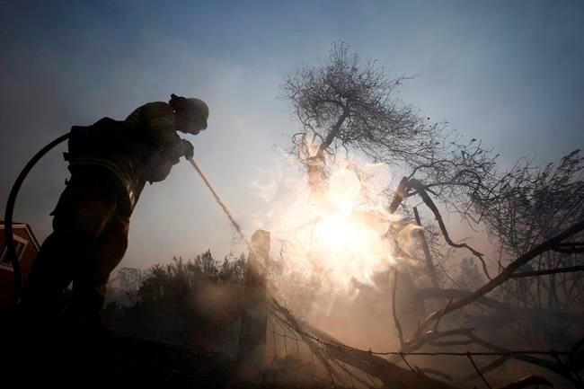 A firefighter battles a wildfire near a ranch in Simi Valley, Calif., Wednesday, Oct. 30, 2019. A large new wildfire has erupted in wind-whipped Southern California, forcing the evacuation of the Ronald Reagan Presidential Library and nearby homes. (AP Photo/Ringo H.W. Chiu)