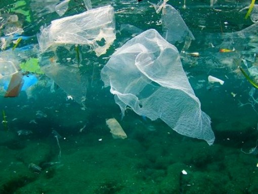 plastics