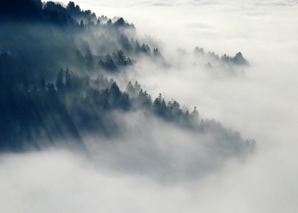 fog stock