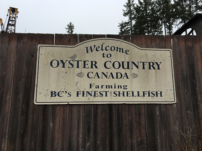 Oyster country Powell River