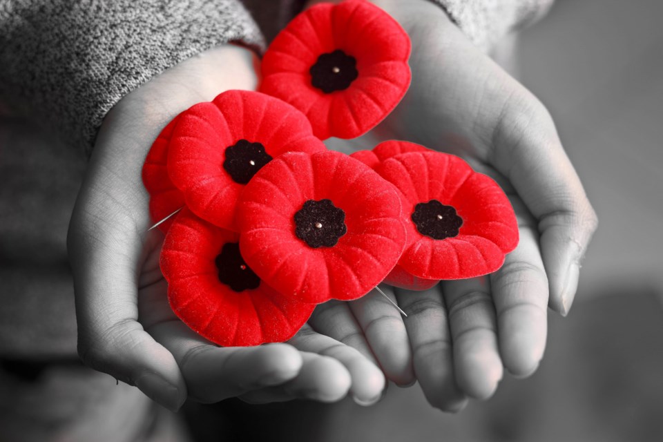 iStock, poppies