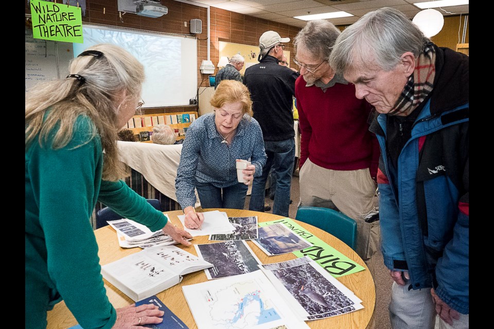 Expert tables focussed on birds, salmon and life underwater.