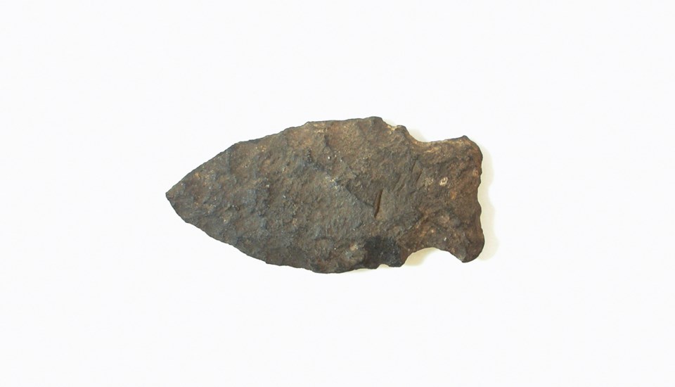 Indigenous projectile point