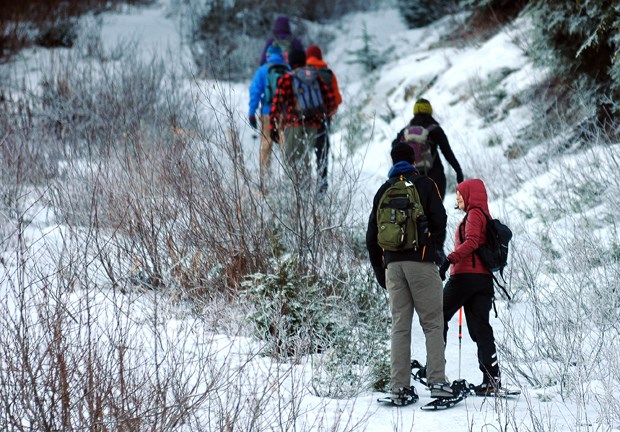 snowshoers