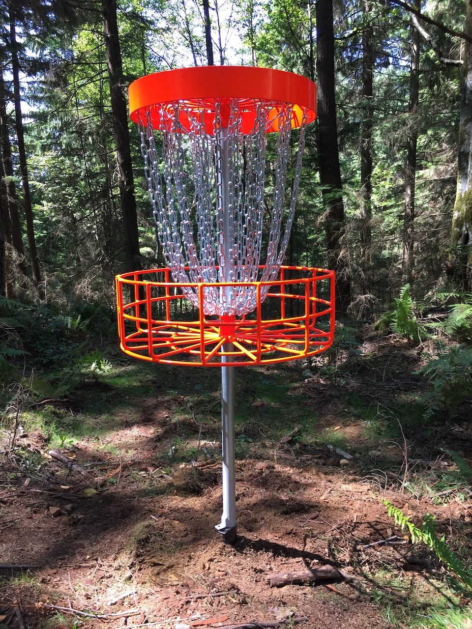 A disc golf hole