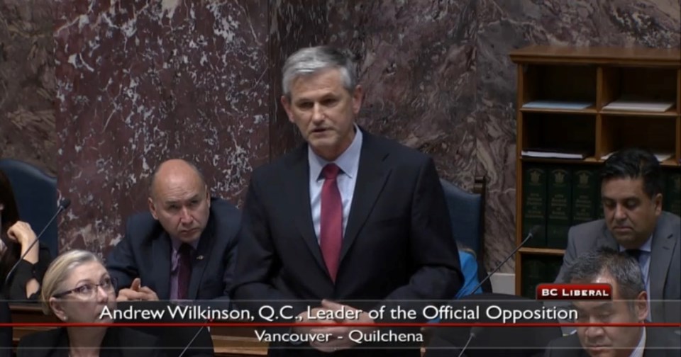 Liberal Leader Andrew Wilkinson in the legislature on Oct. 24, 2019.