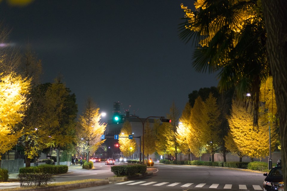 In Tokyo, you’ll find suburban hedges along many downtown streets to help reduce the negative impact