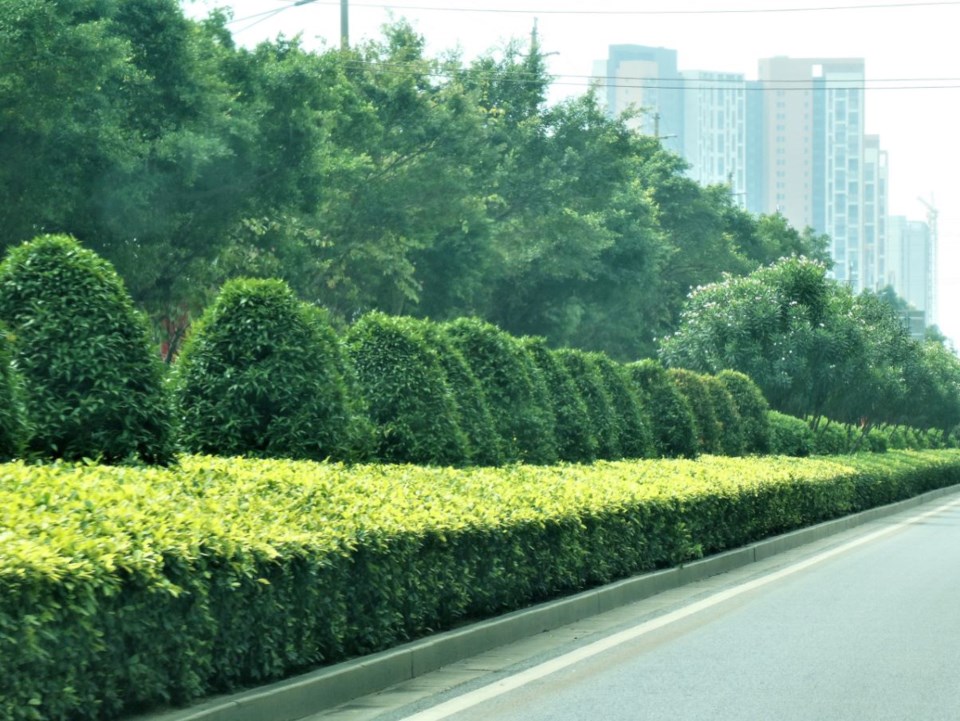 An example of edges along a busy street in southern China. Photo Michael Geller