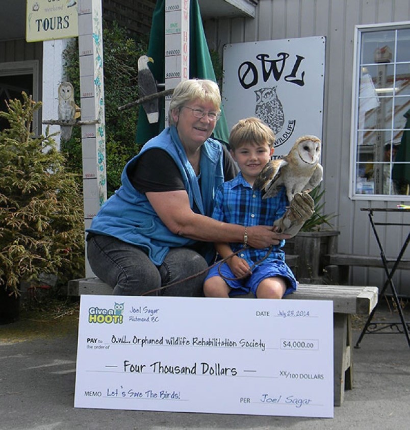 delta OWL lawsuit