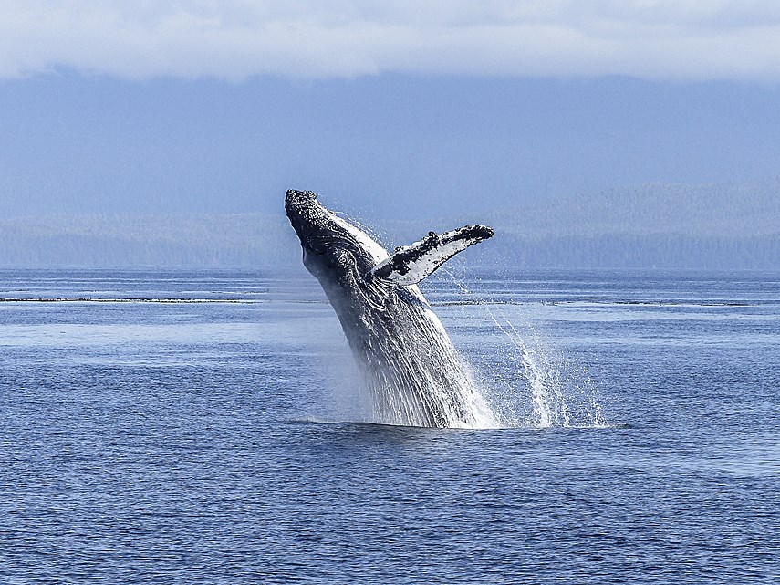 New book of lists explores fascinating, largely unknown factoids about B.C. _2