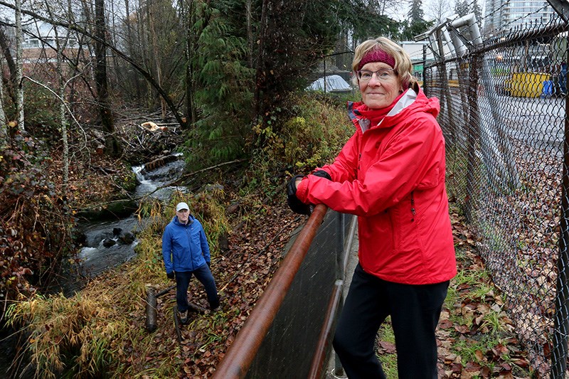 Judy Taylor-Atkinson, and her husband, Jim Atkinson, check out Port Moody's Suter Brook creek, behind the public works yard, where a beaver colony has built a dam to create a new home. On Tuesday, city council endorsed a management plan that emphasizes co-existence with the industrious rodents.