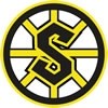STeelers logo