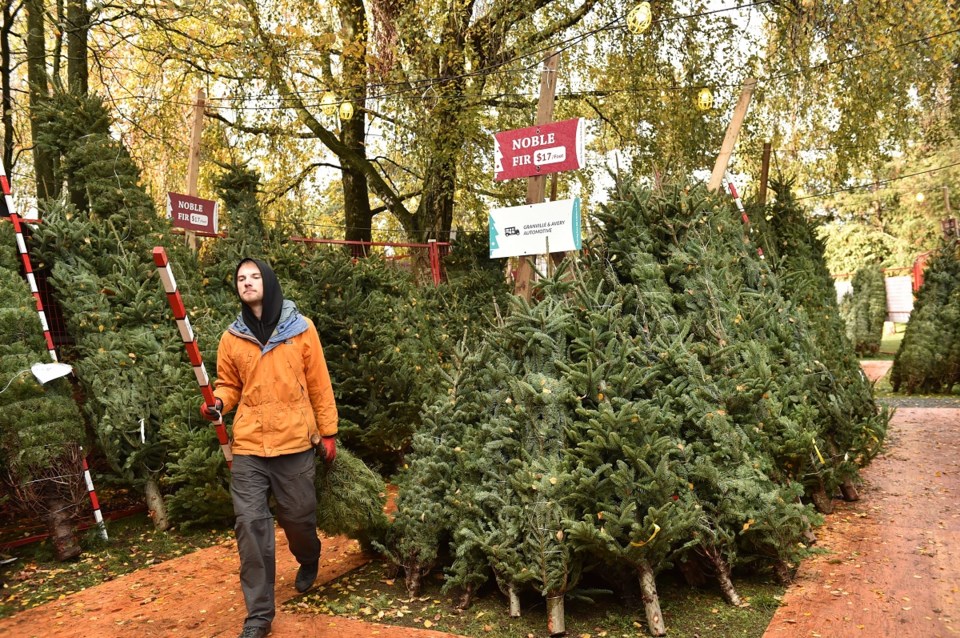 aunt leah's tree lot