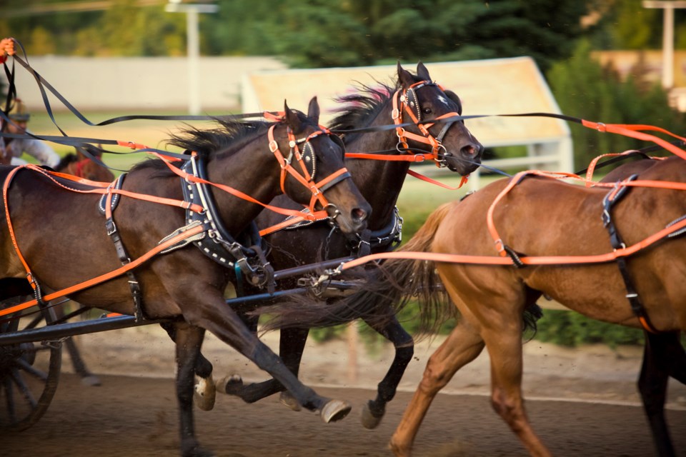 Chuckwagon-abishome-iStock