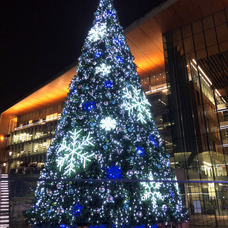 Christmas tree in Surrey civic plaza