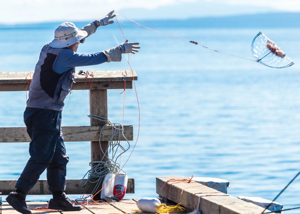 crabbing