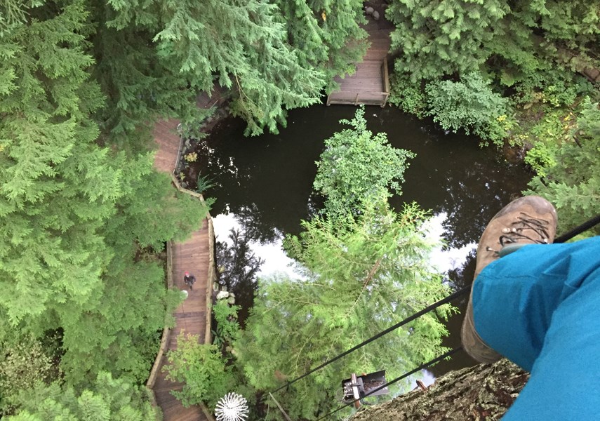 Meet the man who decorates the 300-foot trees at Capilano Suspension Bridge_0