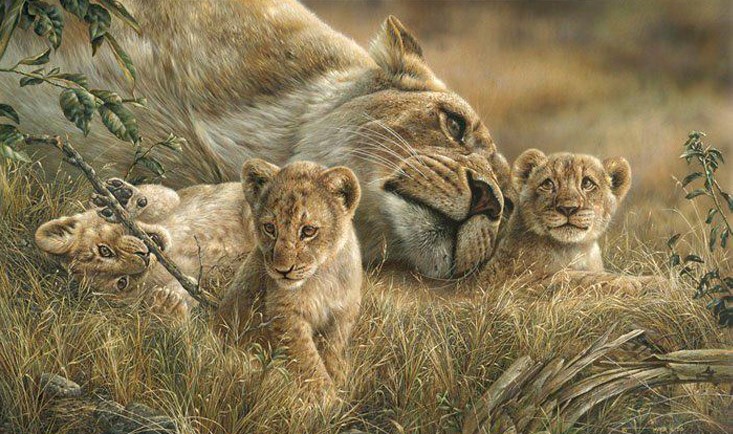 Mother's Love
