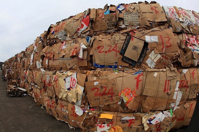cardboard