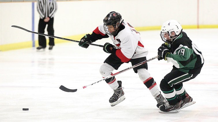 Viking Construction Peewee Cougars forward Cameron Schmidt races Spruce Grove Saints defender Mason Hunter to the puck on Sunday at Kin 2 in the championship game of the Prince George Citizen Peewee Tier 1 hockey tournament. The Cougars won 7-5.
